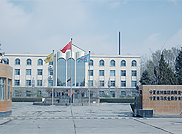 爱游戏(ayx)中国官方网站